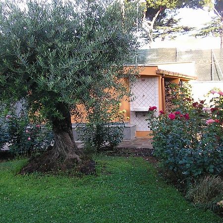 Al Vecchio Olivo Bed & Breakfast Frascati Eksteriør bilde