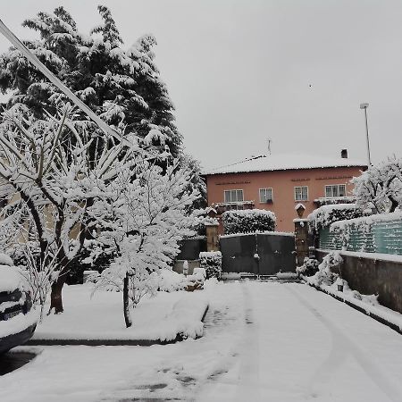 Al Vecchio Olivo Bed & Breakfast Frascati Eksteriør bilde