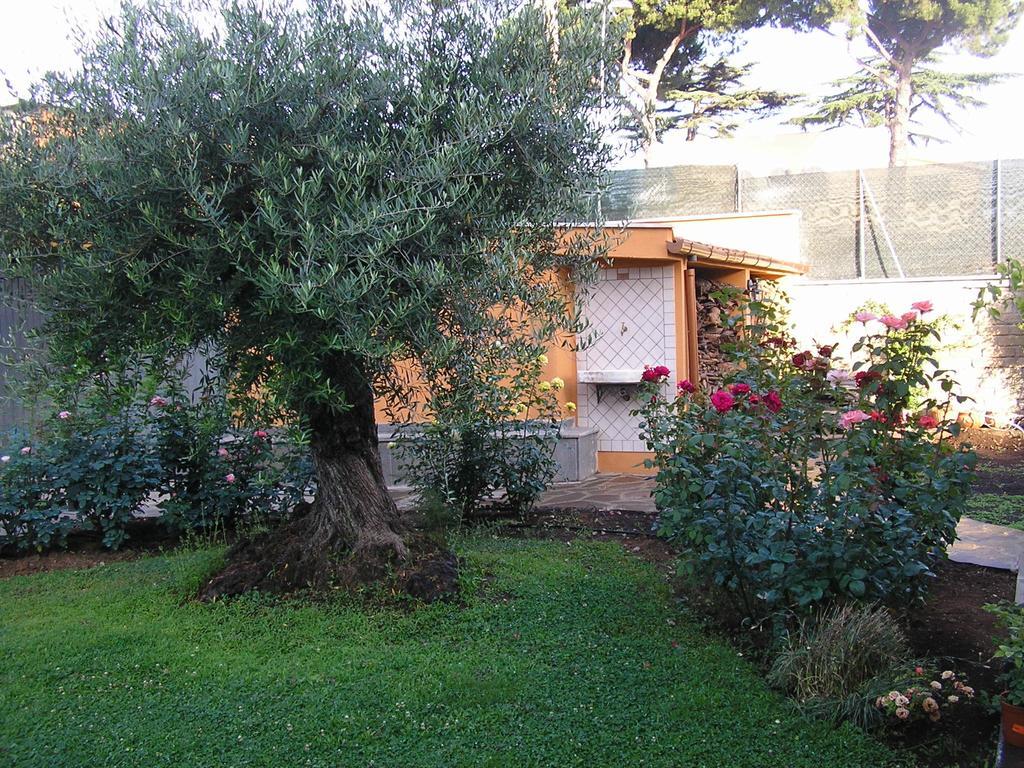 Al Vecchio Olivo Bed & Breakfast Frascati Eksteriør bilde