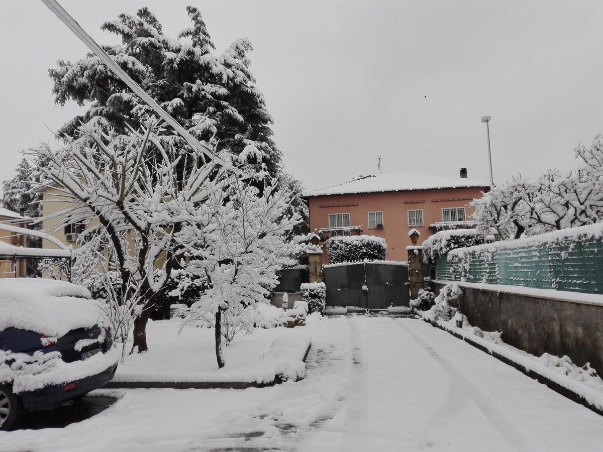 Al Vecchio Olivo Bed & Breakfast Frascati Eksteriør bilde