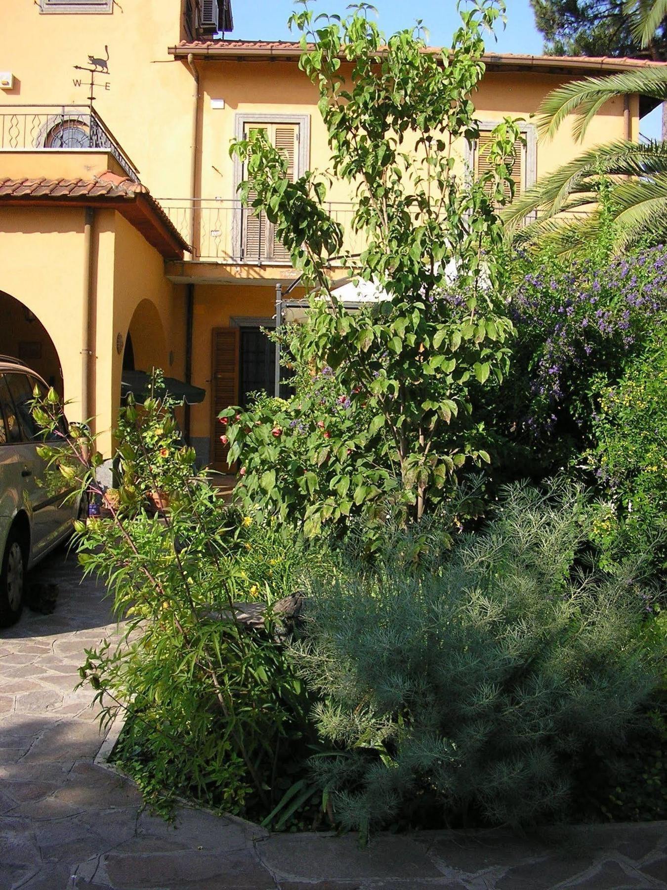 Al Vecchio Olivo Bed & Breakfast Frascati Eksteriør bilde