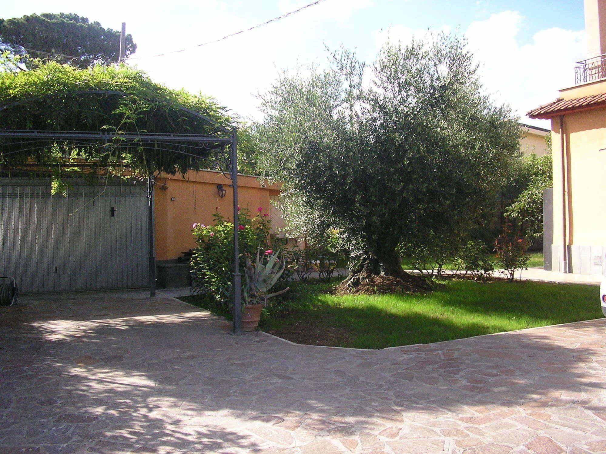 Al Vecchio Olivo Bed & Breakfast Frascati Eksteriør bilde